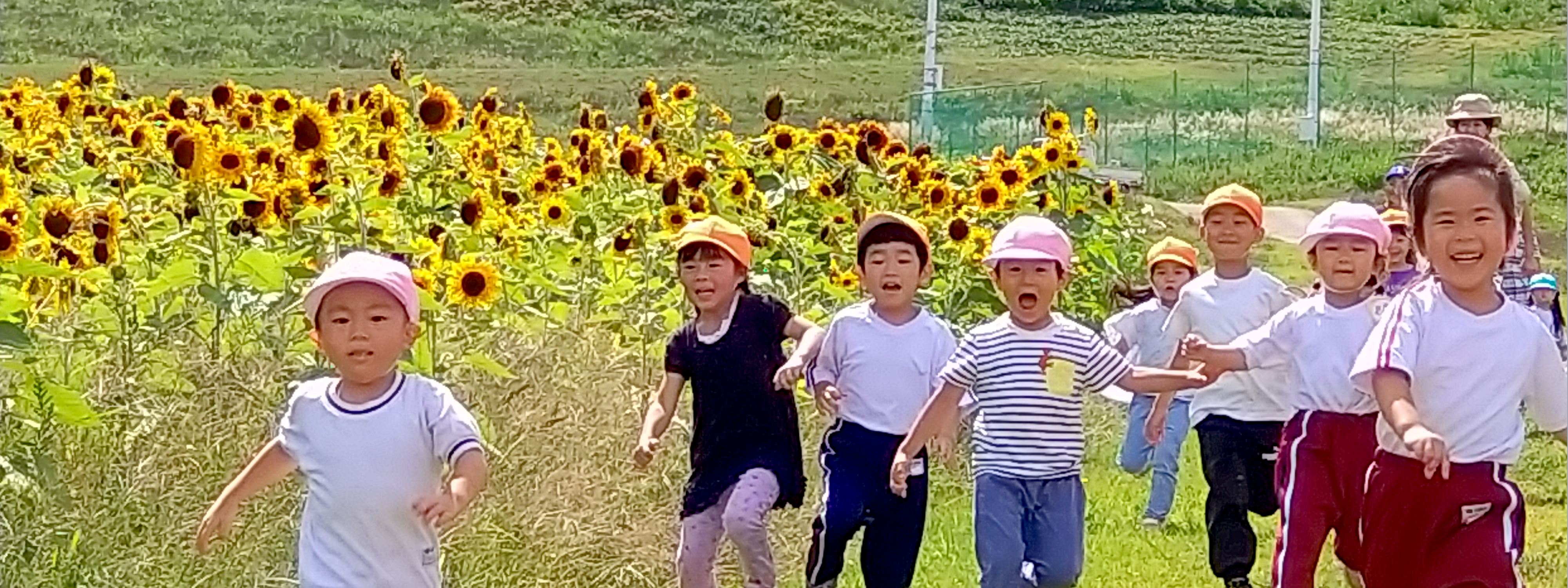 �X�s���� ���|�c�t��